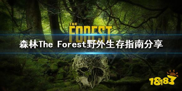 森林如何在野外生存 forest野外生存指南