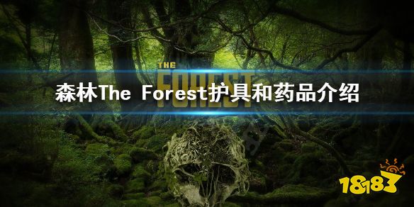 森林有哪些护具和药品 forest护具和药品介绍