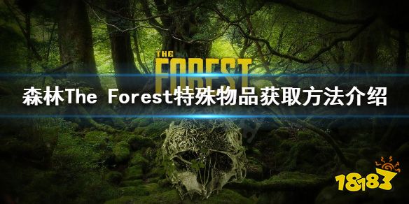森林特殊物品有哪些 forest特殊物品介绍