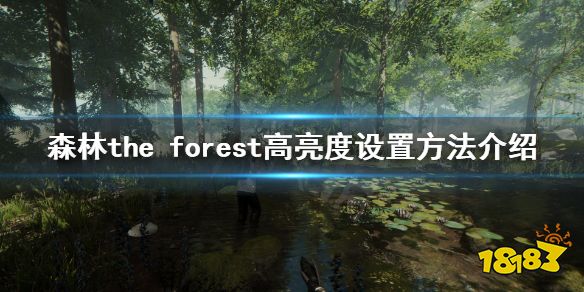 森林亮度怎么提高 forest亮度提高方法