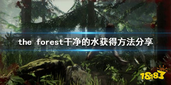 森林干净的水怎么整 forest干净的水方法