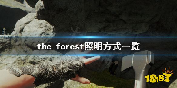 森林怎么照明 forest照明方法