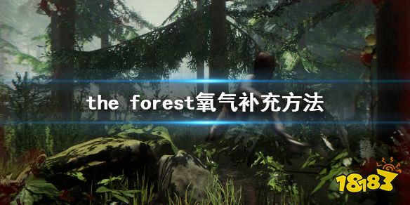 森林氧气怎么补充 forest氧气补充方法