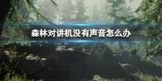 森林对讲机没声音怎么解决 forest对讲机没有声音解决方法