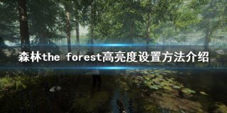 森林亮度怎么提高 forest亮度提高方法
