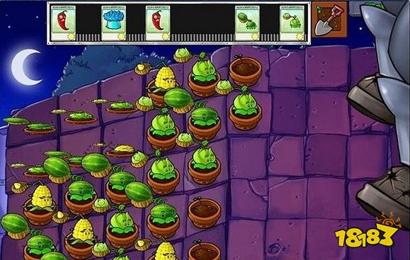 植物大戰僵尸5-10關怎么過 關卡5-10攻略