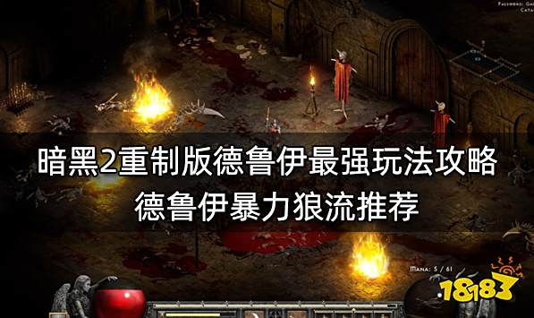 暗黑2重制版德鲁伊最强玩法攻略 德鲁伊暴力狼流推荐