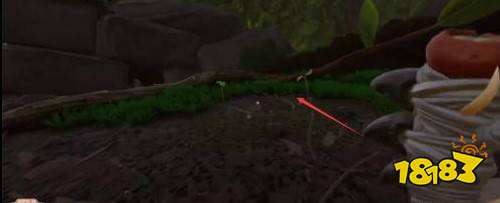 禁闭求生野草茎干怎么获得 野草茎干获取位置