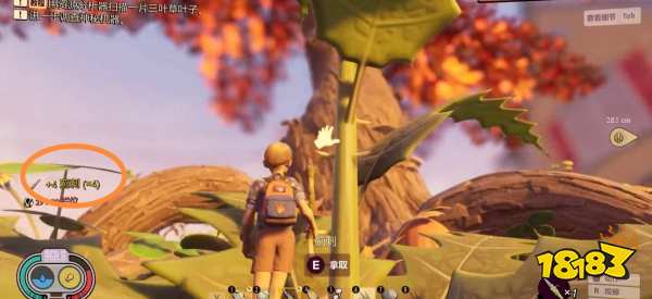 禁闭求生蓟刺怎么获得 grounded蓟刺获取位置