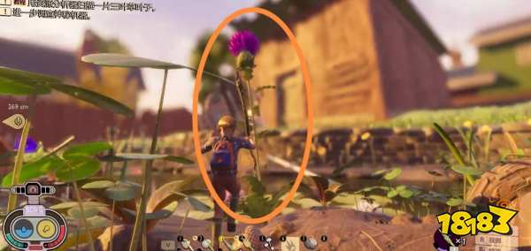 禁闭求生蓟刺怎么获得 grounded蓟刺获取位置