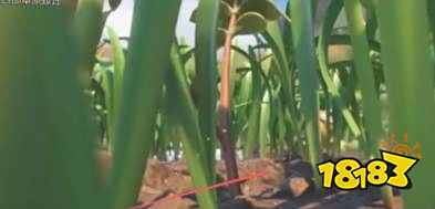 禁闭求生黏土怎么获得 黏土采集位置介绍