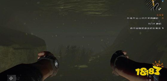 消逝的光芒女巫皇任务怎么做 女巫皇任务流程攻略