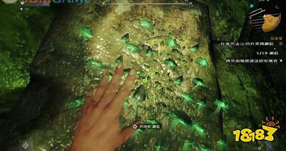 消逝的光芒女巫皇任务怎么做 女巫皇任务流程攻略