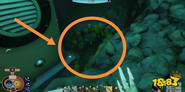 禁闭求生长满苔藓的钥匙在哪里 长满苔藓的钥匙位置介绍