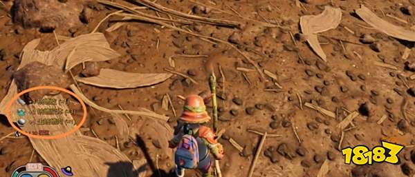 禁闭求生蛴螬皮在哪 grounded蛴螬皮获得方法