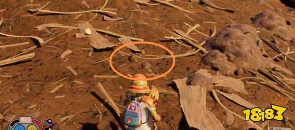 禁闭求生蛴螬皮在哪 grounded蛴螬皮获得方法