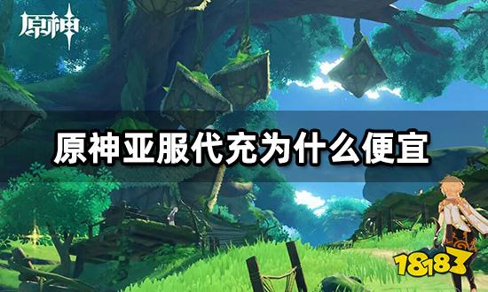 原神亚服代充为什么便宜 黑卡充值是什么意思