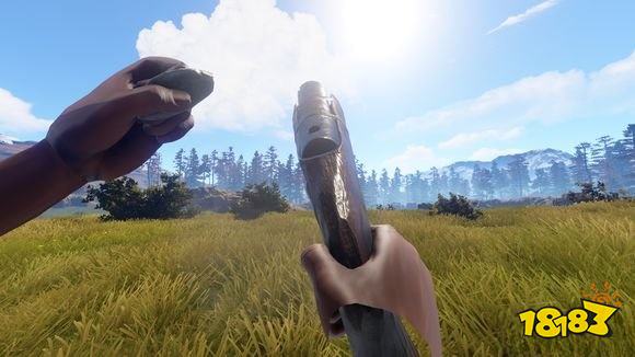 腐蚀土质手枪介绍 土质手枪详情一览