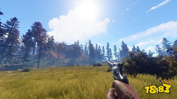 腐蚀大左轮介绍 大左轮详情一览