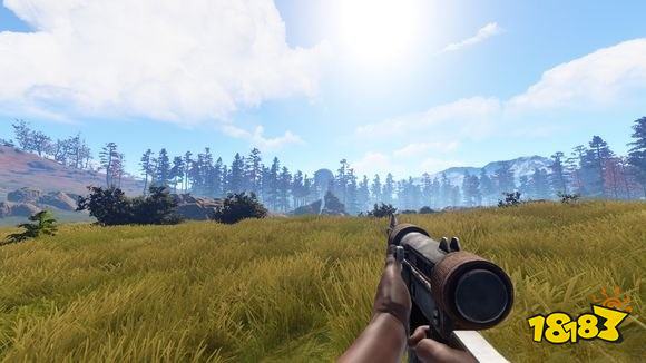 腐蚀小蜜蜂介绍 小蜜蜂详情一览