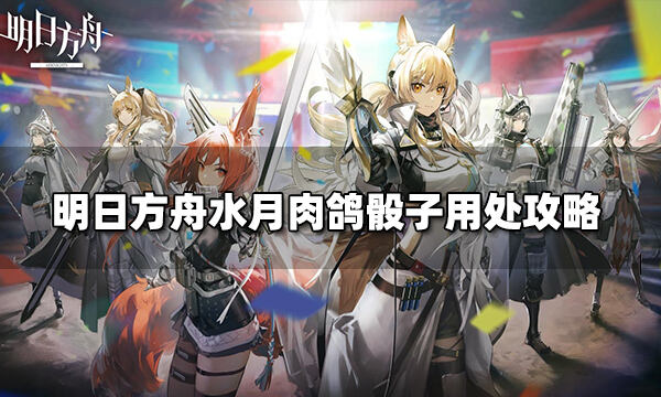 明日方舟水月肉鸽骰子有什么用 水月肉鸽骰子用处攻略