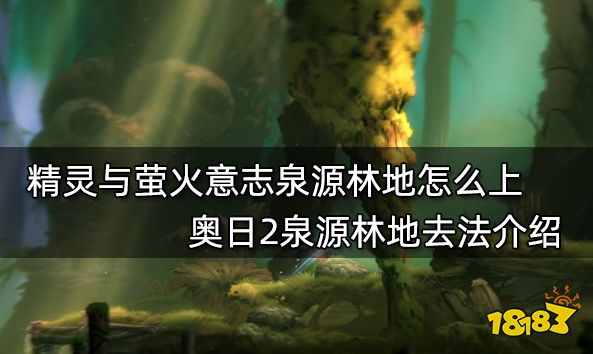 精灵与萤火意志泉源林地怎么上 奥日2泉源林地去法介绍