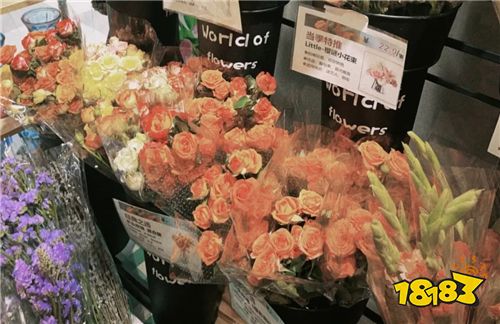 dazz相機(jī)安卓客戶端