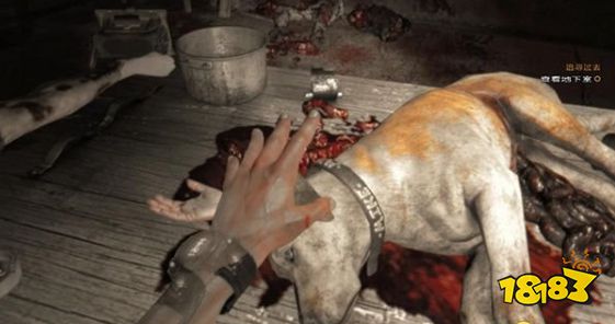 消逝的光芒追寻过去任务怎么做 追寻过去任务流程攻略