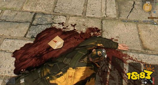 消逝的光芒主线赖斯的约定怎么做 赖斯的约定剧情流程攻略