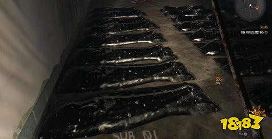 消逝的光芒主线兄妹一家亲怎么做 兄妹一家亲剧情流程攻略