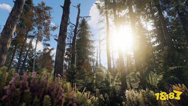 腐蚀资源获取方法 资源获取方法详情一览