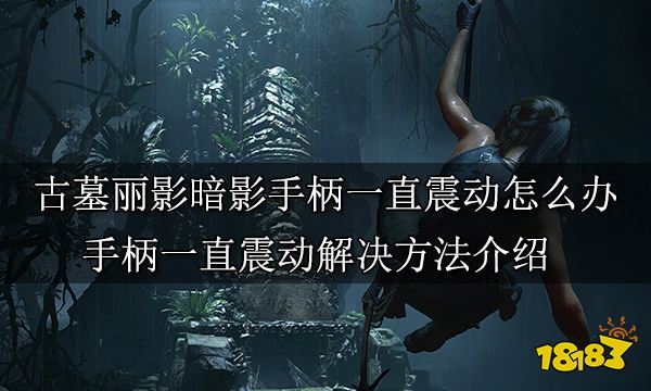 古墓丽影暗影手柄一直震动怎么办 手柄一直震动解决方法介绍