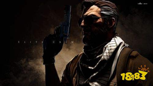 CSGO10周年印花有哪些 10周年印花內容一覽