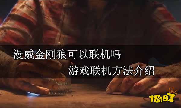 漫威金刚狼可以联机吗 游戏联机方法介绍