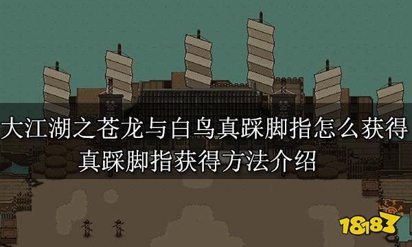 大江湖之蒼龍與白鳥真踩腳指怎么獲得 真踩腳指獲得方法介紹
