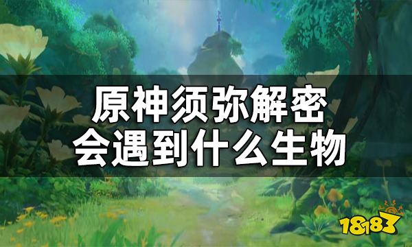 原神须弥新生物介绍 须弥解密会遇到什么生物