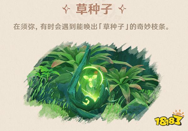 原神须弥新生物介绍 须弥解密会遇到什么生物