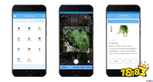 可以识别照片街景的软件 好用的识别街景App推荐_18183软件下载