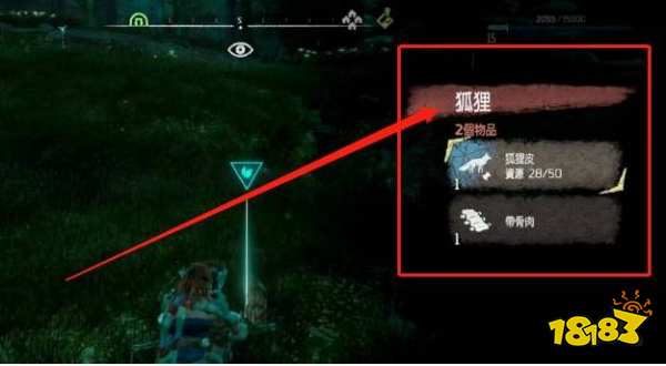 地平线零之曙光狐狸皮在哪获得 狐狸皮获取攻略