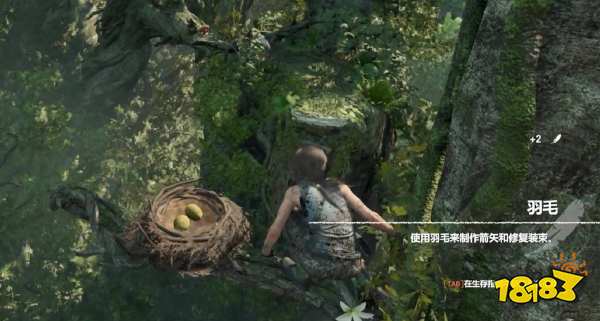 古墓麗影暗影羽毛怎么獲得 羽毛獲得方法介紹