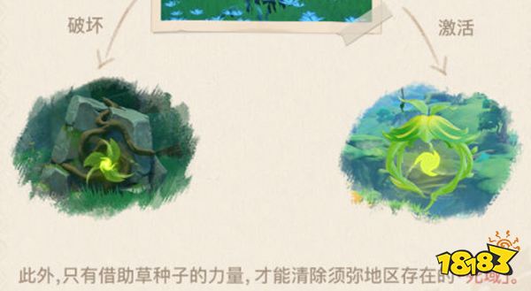 原神须弥草种子介绍 须弥草种子是什么