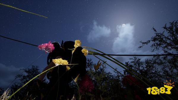 凄凉地之路配置需求高吗 配置需求介绍