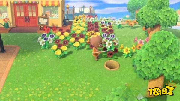 動物森友會怎么種植和移植花卉 花卉種植及移植方法
