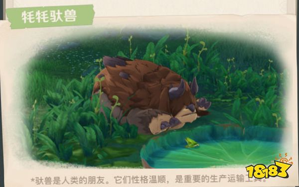 原神须弥全新敌人及生物一览 须弥有哪些新敌人和生物