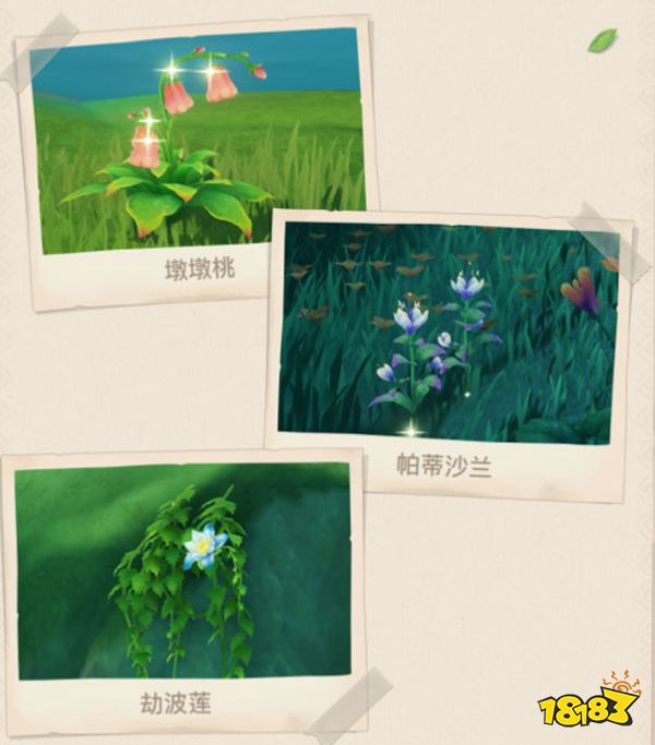 原神须弥全新敌人及生物一览 须弥有哪些新敌人和生物