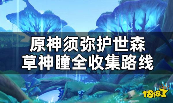 原神护世森草神瞳位置一览 须弥护世森草神瞳全收集路线