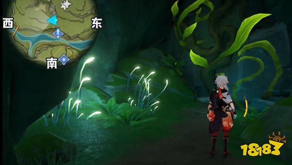 原神须弥城茸草窟草神瞳位置一览 须弥须弥城茸草窟草神瞳全收集路线