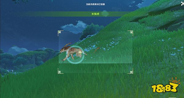 原神雕琢童心第一天攻略 雕琢童心第一天拍摄都在哪