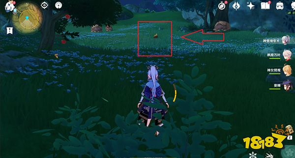 原神雕琢童心第一天攻略 雕琢童心第一天拍摄都在哪