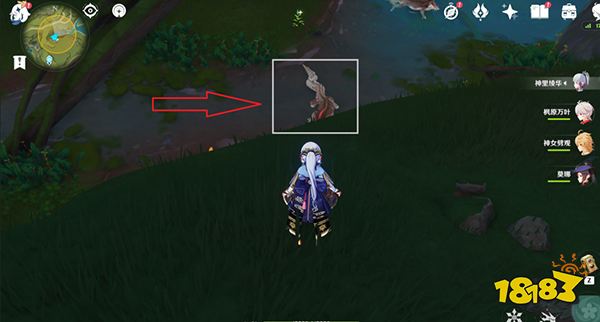 原神雕琢童心第一天攻略 雕琢童心第一天拍摄都在哪